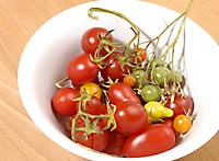 tomaten_2007.jpg